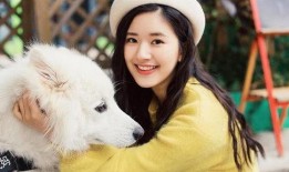 宋慧乔小菊爆料视频,娱乐圈背后的惊人真相